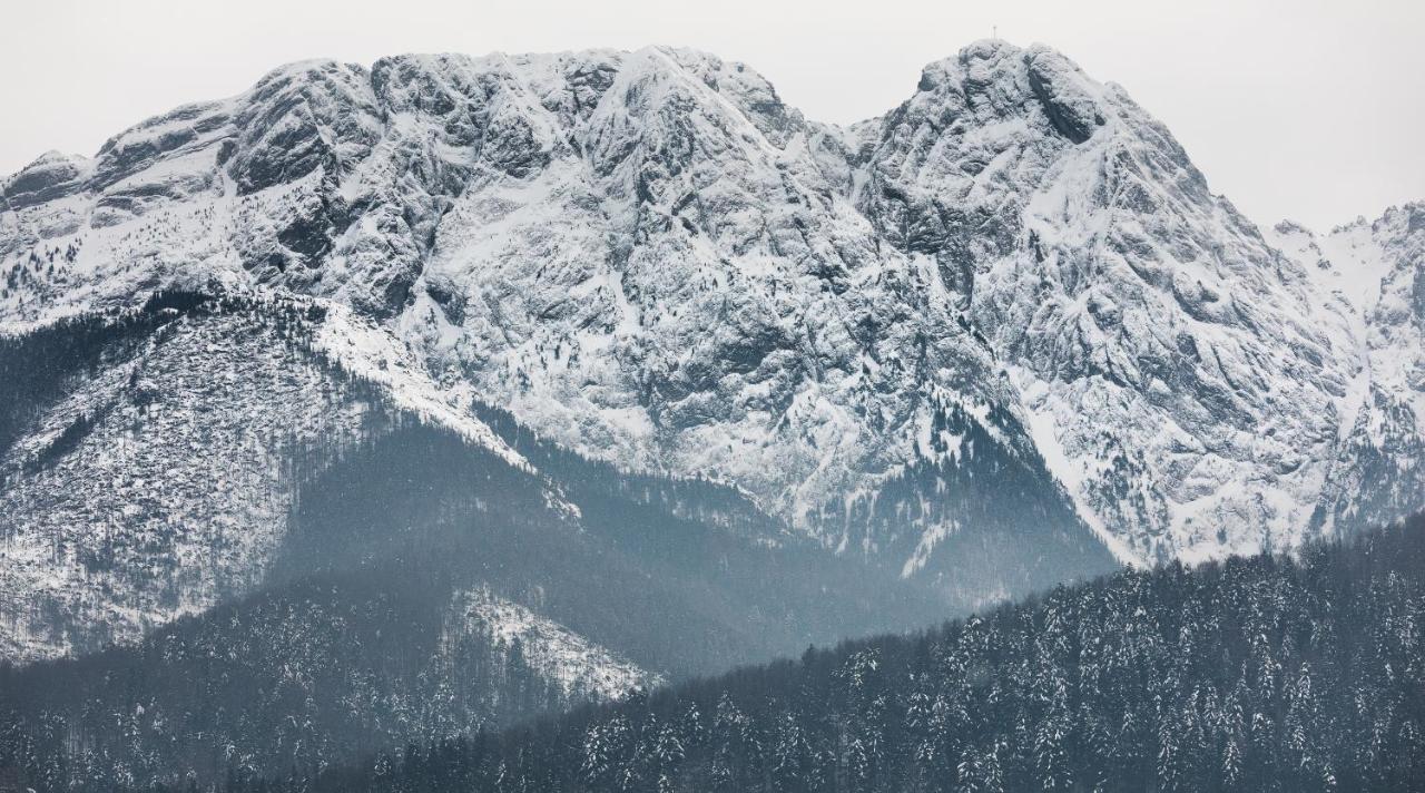 Szymaszkowa 3 By Homeprime Zakopane Exteriér fotografie
